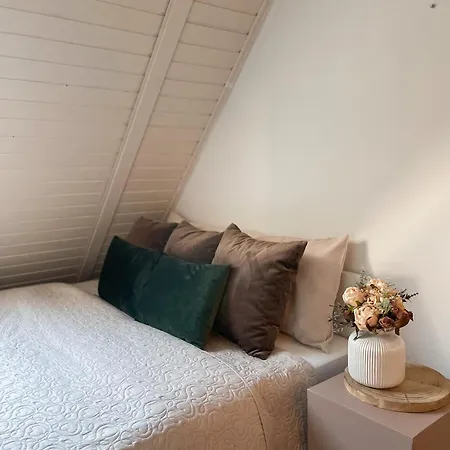 Σαλέ Pine & Oak Fužine